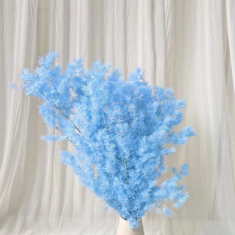 永生蓬莱松雪松干花真花diy婚庆花卉永蝴蝶永生花DIY材料工厂直发