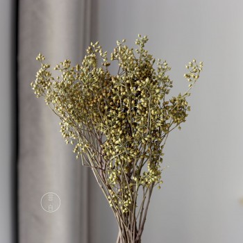 小米果小尤加利果干花僵尸果桉树果永生花插花装饰摆件厂家批发