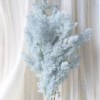 永生蓬莱松雪松干花真花diy婚庆花卉永蝴蝶永生花DIY材料工厂直发