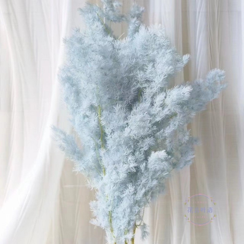 永生蓬莱松雪松干花真花diy婚庆花卉永蝴蝶永生花DIY材料工厂直发