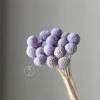 永生黄金球干花花束批发 金槌花黄金果天然真花配草花材厂家批发