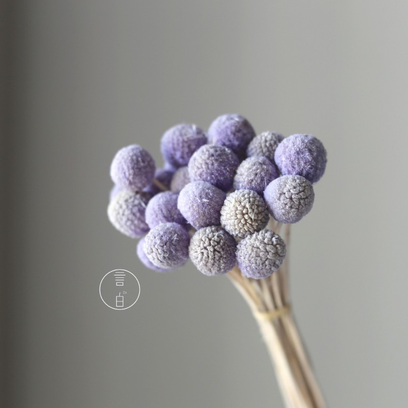 永生黄金球干花花束批发 金槌花黄金果天然真花配草花材厂家批发