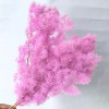 永生蓬莱松雪松干花真花diy婚庆花卉永蝴蝶永生花DIY材料工厂直发