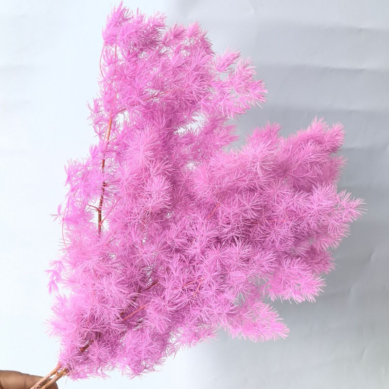 永生蓬莱松雪松干花真花diy婚庆花卉永蝴蝶永生花DIY材料工厂直发