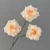 3头钻石玫瑰 不带叶婚庆花材地排花插花玫瑰花瀑布花海花墙