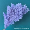 永生蓬莱松雪松干花真花diy婚庆花卉永蝴蝶永生花DIY材料工厂直发