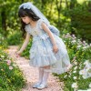 女童艾莎公主裙2026夏季儿童洛丽塔公主裙女孩爱莎生日礼服连衣裙