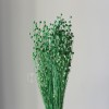 干花富贵豆相思豆 永生花厂家批发 红色金色红豆胡麻豆繁星果花束