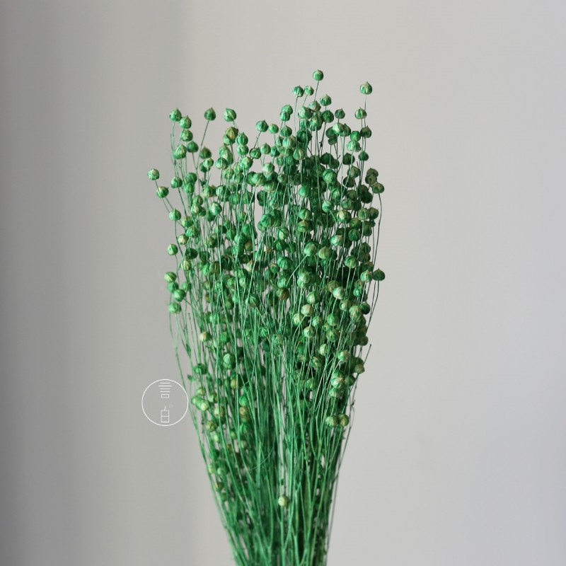 干花富贵豆相思豆 永生花厂家批发 红色金色红豆胡麻豆繁星果花束