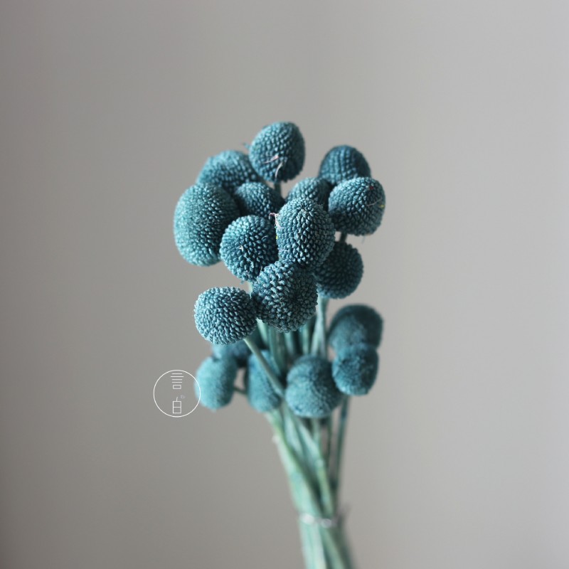 永生黄金球干花花束批发 金槌花黄金果天然真花配草花材厂家批发