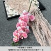 9头胶片蝴蝶兰仿真假花婚庆礼堂花排路引插花装饰布置花艺花材