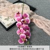 9头胶片蝴蝶兰仿真假花婚庆礼堂花排路引插花装饰布置花艺花材