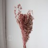 小米果小尤加利果干花僵尸果桉树果永生花插花装饰摆件厂家批发