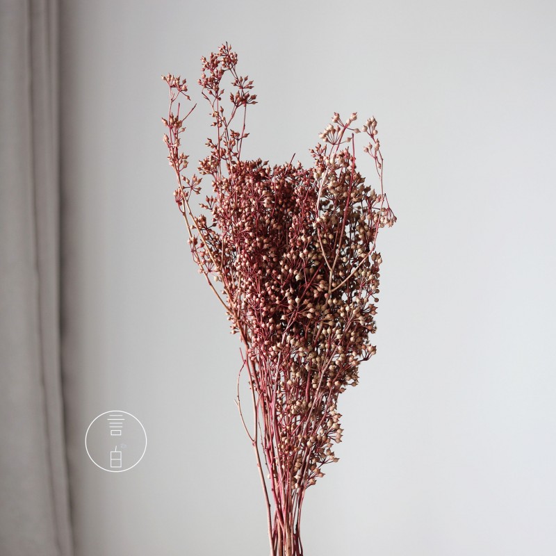小米果小尤加利果干花僵尸果桉树果永生花插花装饰摆件厂家批发