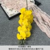 9头胶片蝴蝶兰仿真假花婚庆礼堂花排路引插花装饰布置花艺花材