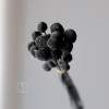 永生黄金球干花花束批发 金槌花黄金果天然真花配草花材厂家批发