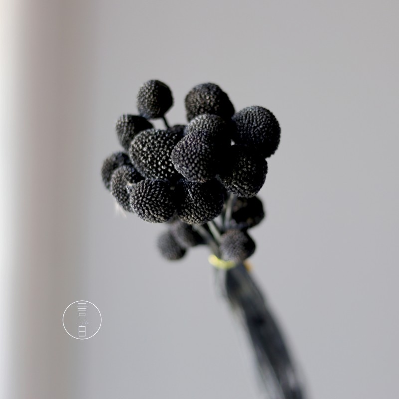 永生黄金球干花花束批发 金槌花黄金果天然真花配草花材厂家批发