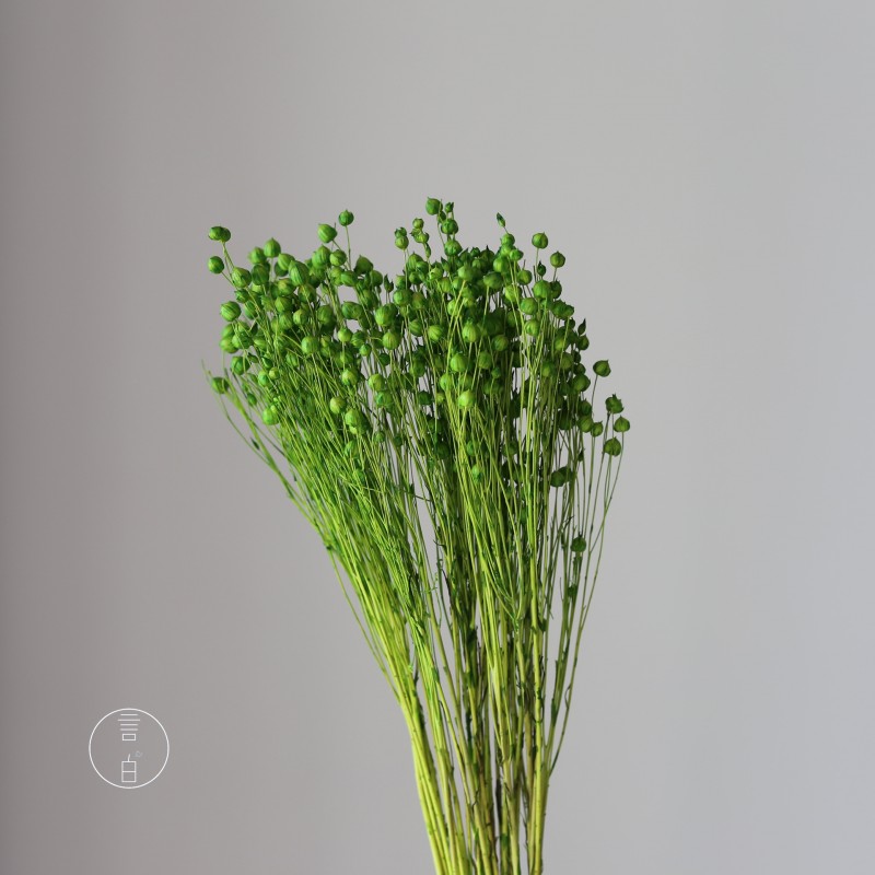 干花富贵豆相思豆 永生花厂家批发 红色金色红豆胡麻豆繁星果花束