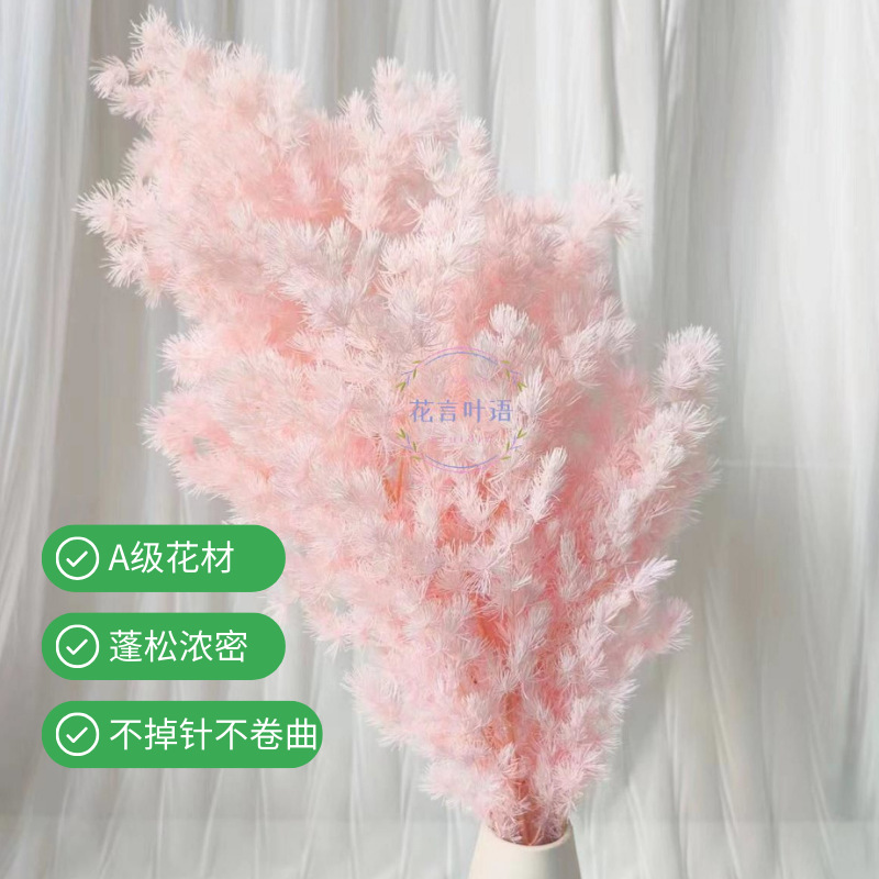 永生蓬莱松雪松干花真花diy婚庆花卉永蝴蝶永生花DIY材料工厂直发