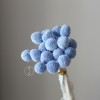 永生黄金球干花花束批发 金槌花黄金果天然真花配草花材厂家批发