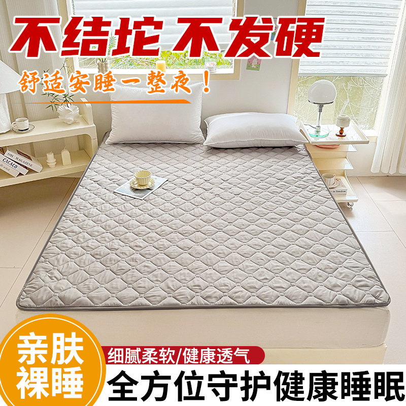 床垫软垫家用床褥垫夏薄款褥子租房垫被宿舍防滑床护垫床单人铺底