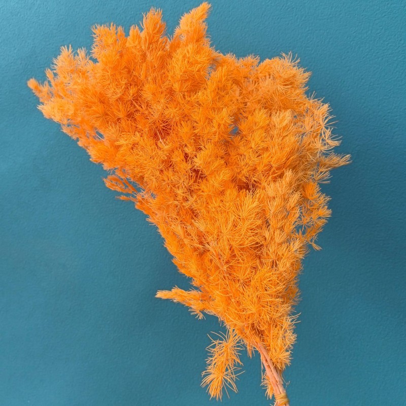 永生蓬莱松雪松干花真花diy婚庆花卉永蝴蝶永生花DIY材料工厂直发