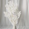 永生蓬莱松雪松干花真花diy婚庆花卉永蝴蝶永生花DIY材料工厂直发