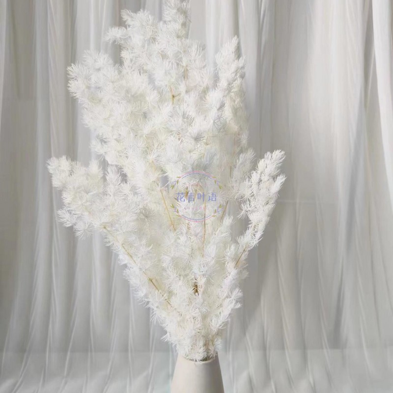 永生蓬莱松雪松干花真花diy婚庆花卉永蝴蝶永生花DIY材料工厂直发