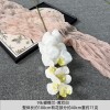 9头胶片蝴蝶兰仿真假花婚庆礼堂花排路引插花装饰布置花艺花材
