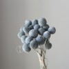 永生黄金球干花花束批发 金槌花黄金果天然真花配草花材厂家批发