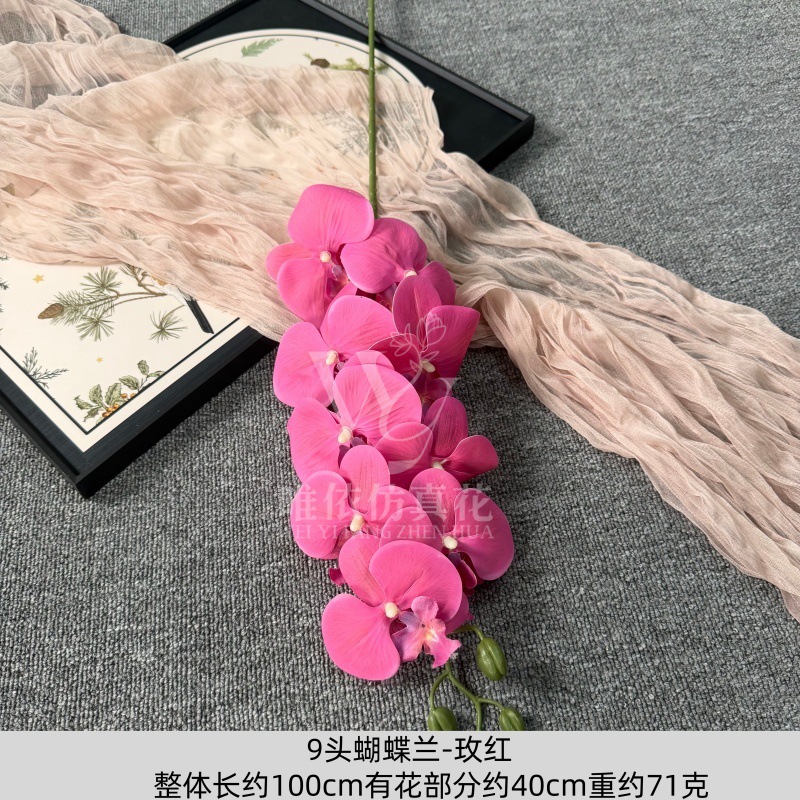 9头胶片蝴蝶兰仿真假花婚庆礼堂花排路引插花装饰布置花艺花材