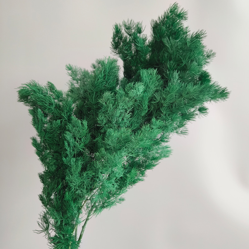 永生蓬莱松雪松干花真花diy婚庆花卉永蝴蝶永生花DIY材料工厂直发
