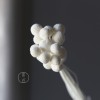 永生黄金球干花花束批发 金槌花黄金果天然真花配草花材厂家批发