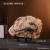 现代轻奢艺术摆件大全客厅书房电视柜办公室桌面装饰品树脂工艺品