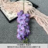 9头胶片蝴蝶兰仿真假花婚庆礼堂花排路引插花装饰布置花艺花材