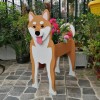 跨境创意花盆宠物摆件盆栽阳台花园家居装饰品庭院创意狗花盆摆件