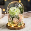 永生花玻璃罩成品玫瑰批发 情人节礼物保鲜花永生花礼盒一件代发
