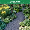 草石隔离带10米起批挡土板园林绿化隔水板公园草坪分隔带收边条