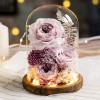 永生花玻璃罩成品玫瑰批发 情人节礼物保鲜花永生花礼盒一件代发