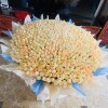 求婚朵玫瑰花束52送女友七夕花束9990表白配送鲜花速递同城朵