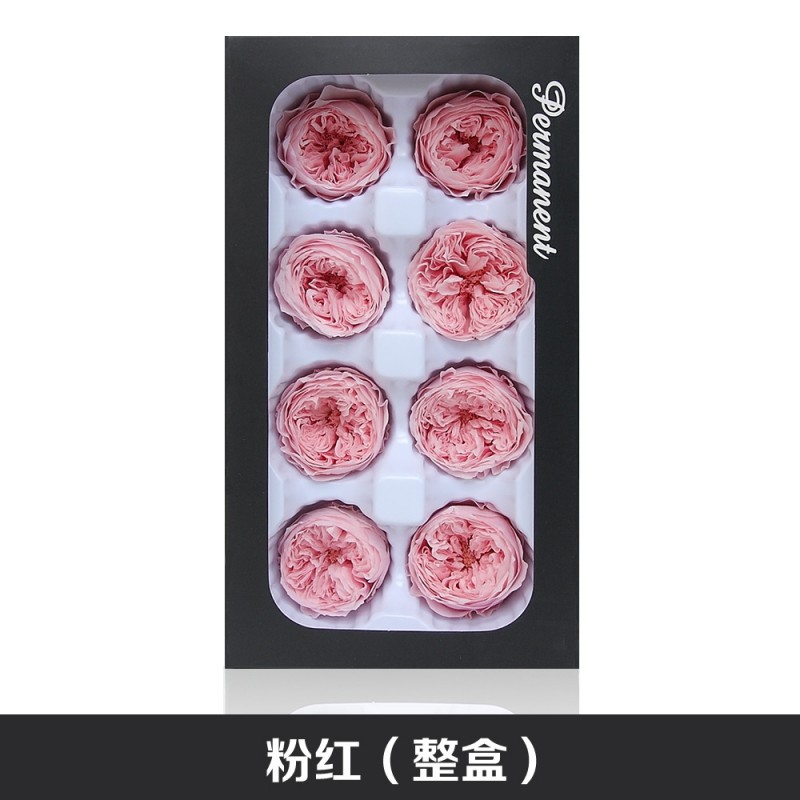 国产奥斯汀永生花A级4-5cm钥匙扣车挂礼盒花材新娘头饰干花保鲜花