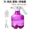 3L电动喷水壶浇花家用电动喷雾器消毒园艺洒水壶Water Spray Can