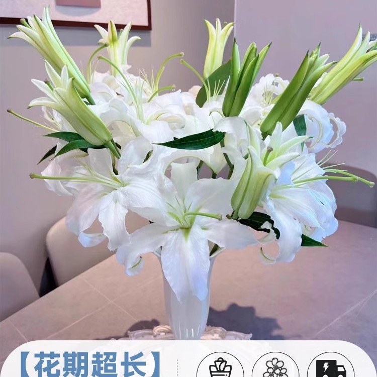 鲜花云南直发多头百合花鲜花水养香水百合鲜切花真花束基地批发