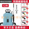 园艺用品电动喷壶家用便携式锂电池喷雾器多功能自动浇花神器植物