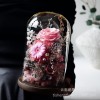 GLORIOUS永生花成品玫瑰保鲜花带灯高级感送女友七夕情人节礼物