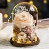 永生花玻璃罩成品玫瑰批发 情人节礼物保鲜花永生花礼盒一件代发