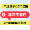 云南基地直发向日葵鲜花花束水养插花客厅装饰送女友送人老师朋友