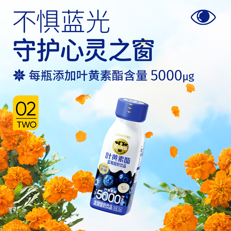 轻上 叶黄素酯蓝莓酸奶饮品轻食早餐代餐饮料10瓶装商超批发特价