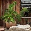 侘寂风落地特大口径镁泥花盆阳台户外庭院花园天台大号绿植种植盆