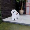 跨境创意花盆宠物摆件盆栽阳台花园家居装饰品庭院创意狗花盆摆件